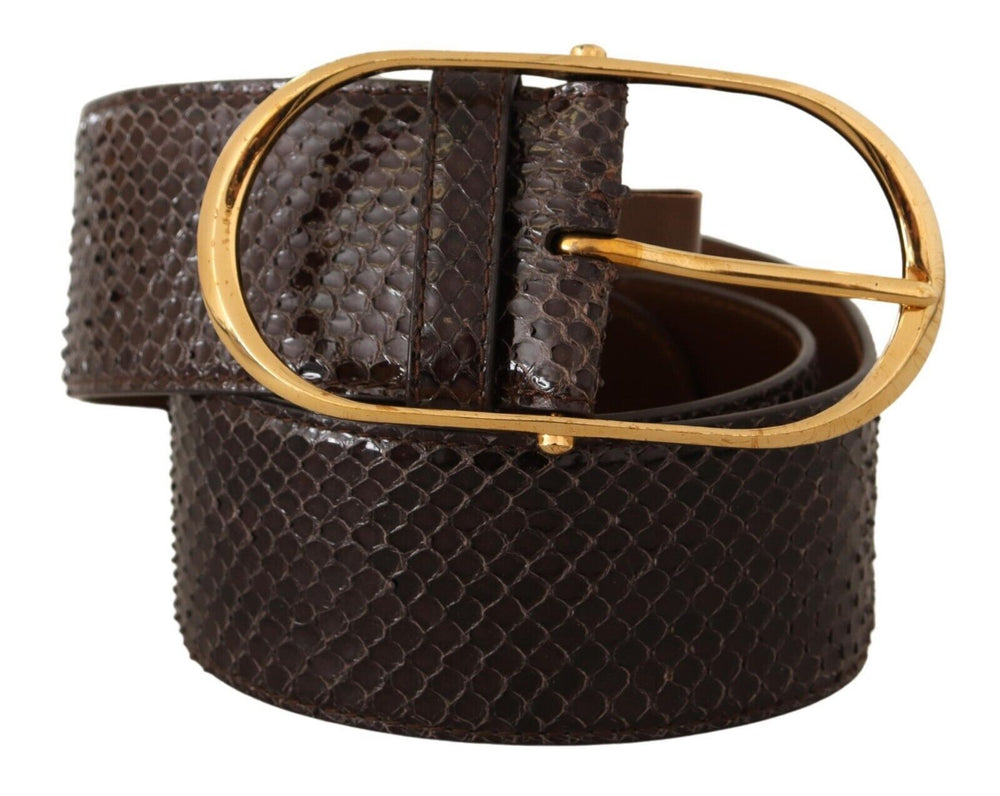 Dolce & Gabbana Elegant Python Leather Belt with Gold Buckle