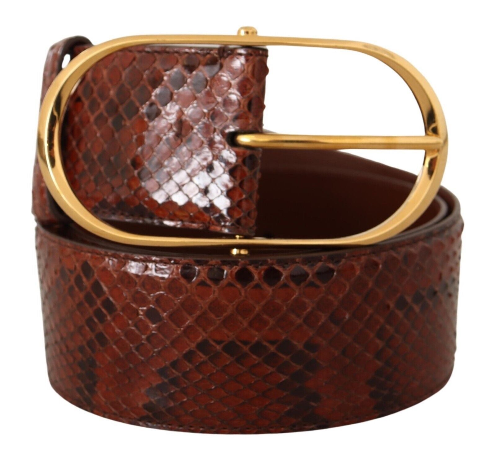 Dolce & Gabbana Elegant Python Snake Skin Leather Belt - ACCEXO