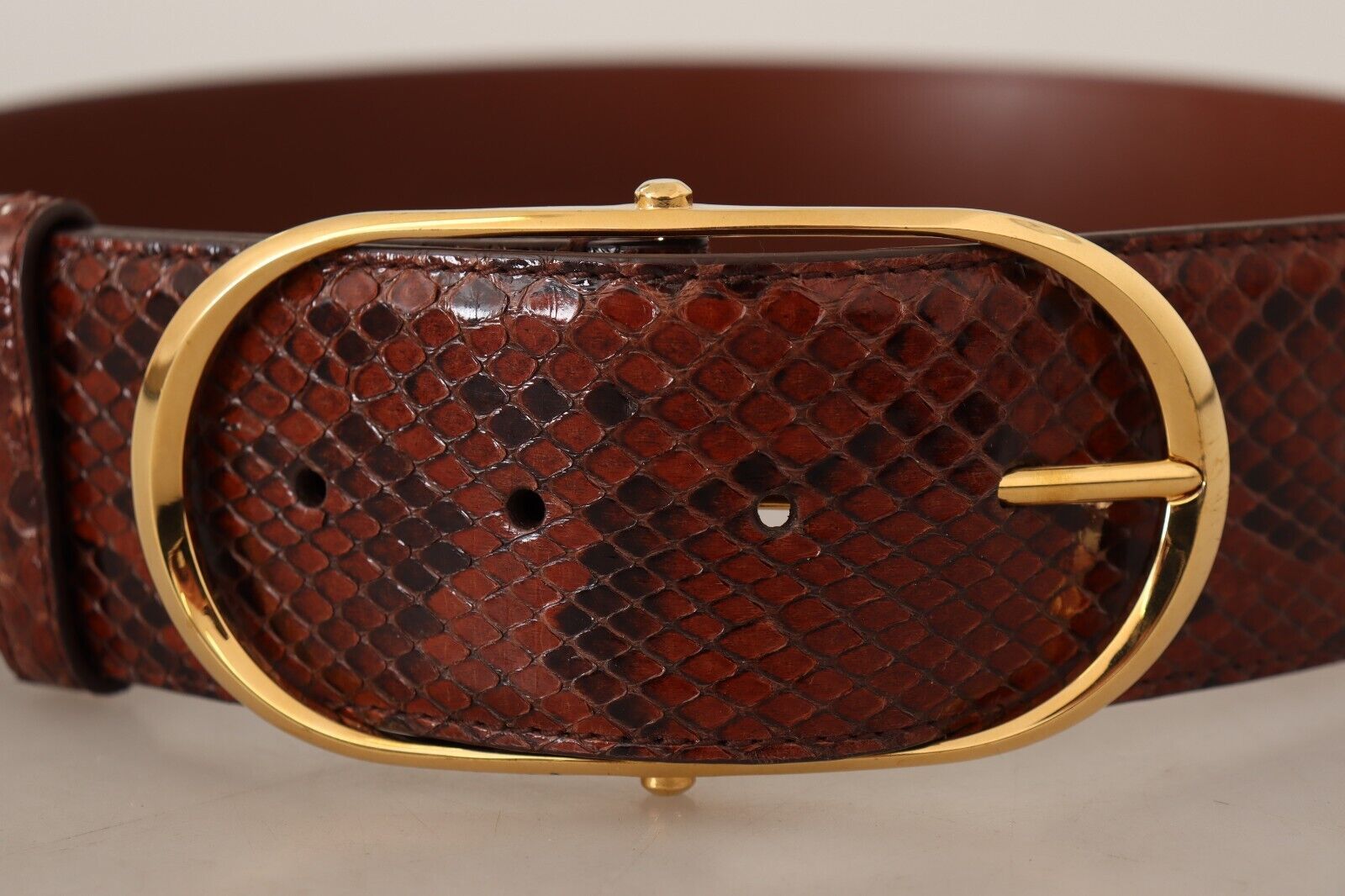 Dolce & Gabbana Elegant Python Snake Skin Leather Belt - ACCEXO