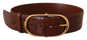 Dolce & Gabbana Elegant Python Snake Skin Leather Belt - ACCEXO