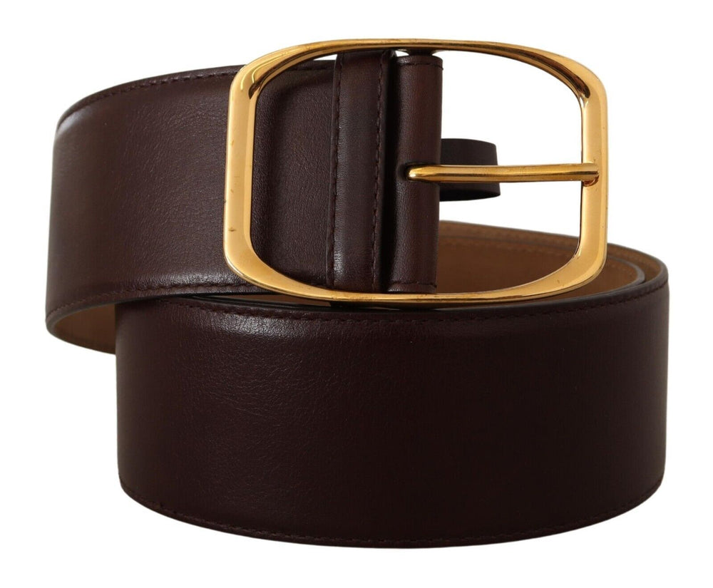 Dolce & Gabbana Elegant Dark Brown Leather Belt with Gold Buckle - ACCEXO