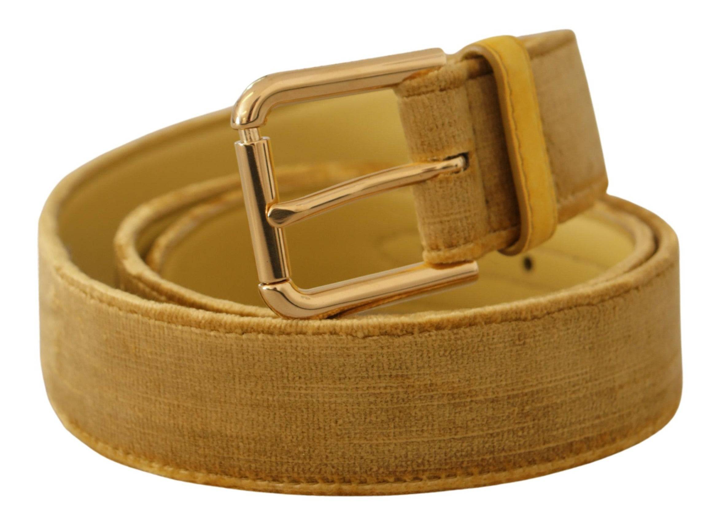Dolce & Gabbana Elegant Velvet Designer Gold-Buckled Belt - ACCEXO