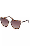 Guess Jeans Brown Injected Women Sunglasses