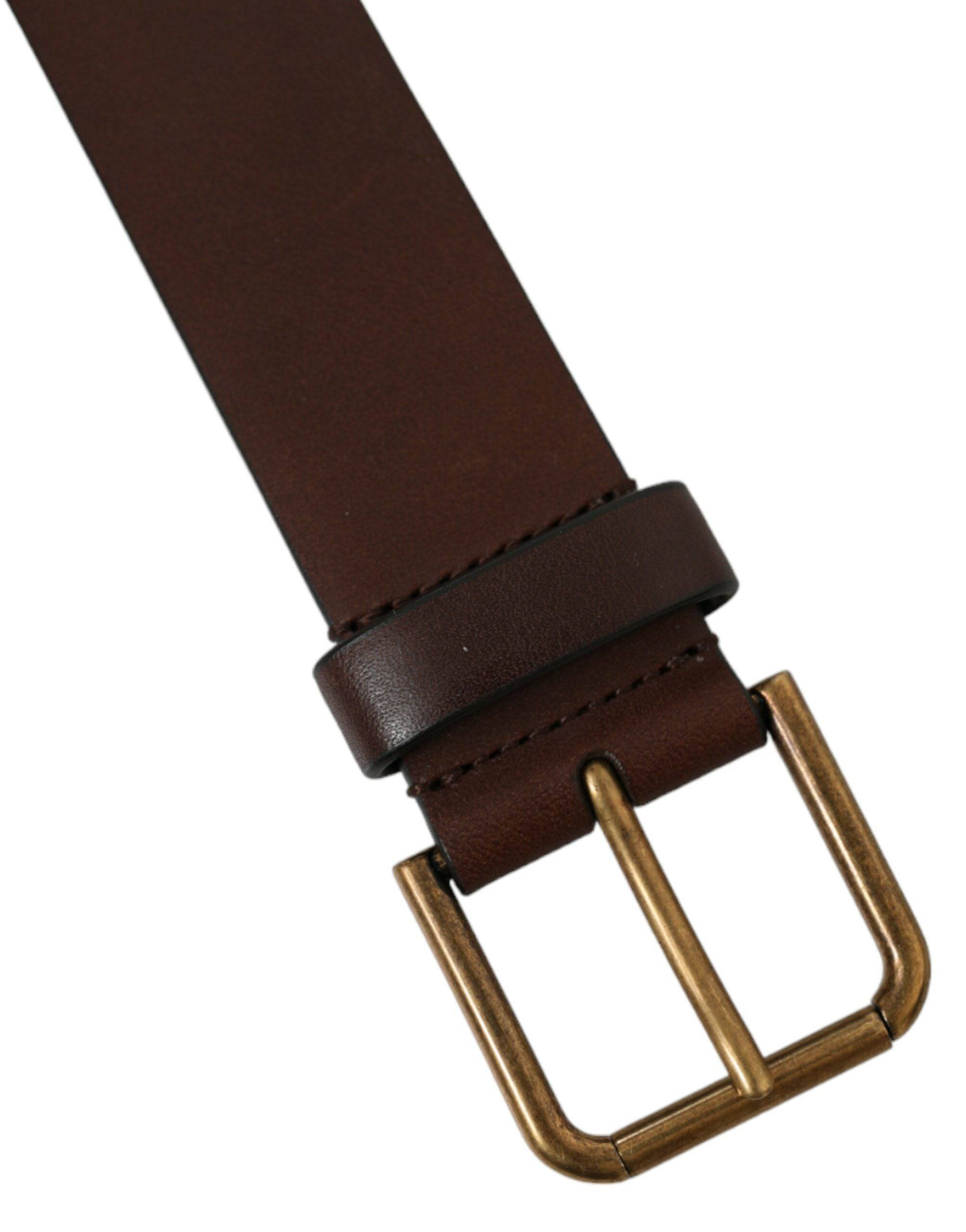 Dolce & Gabbana Elegant Brown Calf Leather Belt - Timeless Accessory - ACCEXO