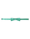 Dolce & Gabbana Mint Green Silk Adjustable Neck Men Bow Tie