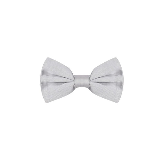 Dolce & Gabbana Silver Silk Ties & Bowty