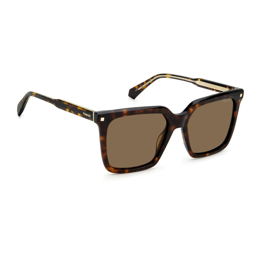 Polaroid Brown Acetate Sunglasses