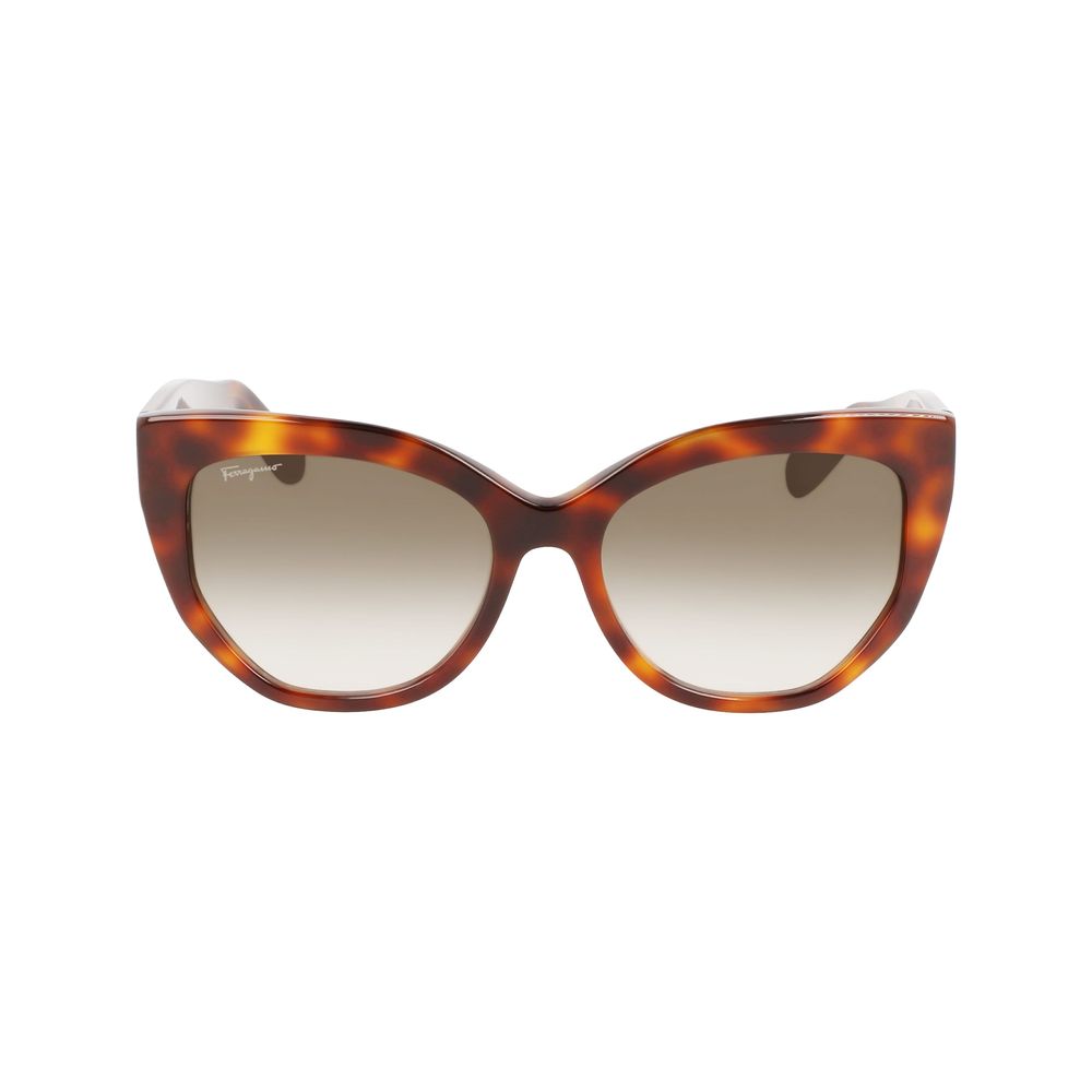 Ferragamo Brown Acetate Sunglasses