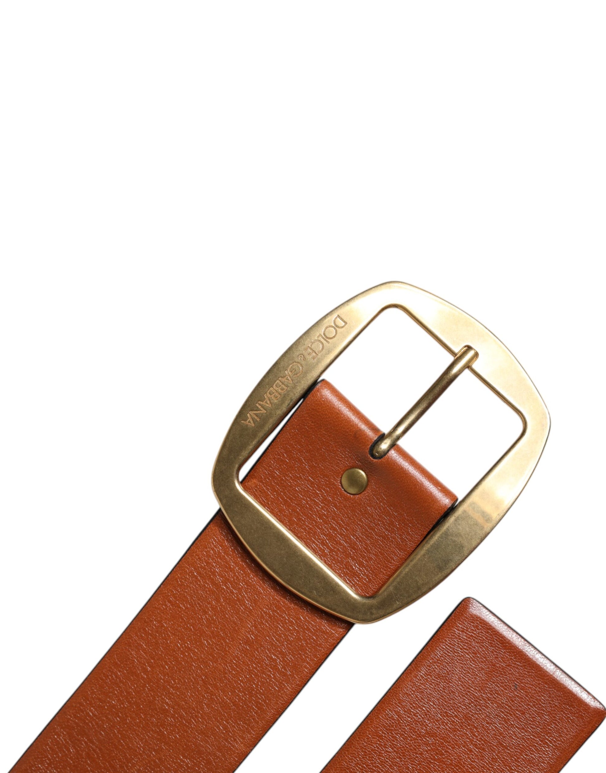 Dolce & Gabbana Brown Leather Gold Metal Buckle Classic Belt - ACCEXO